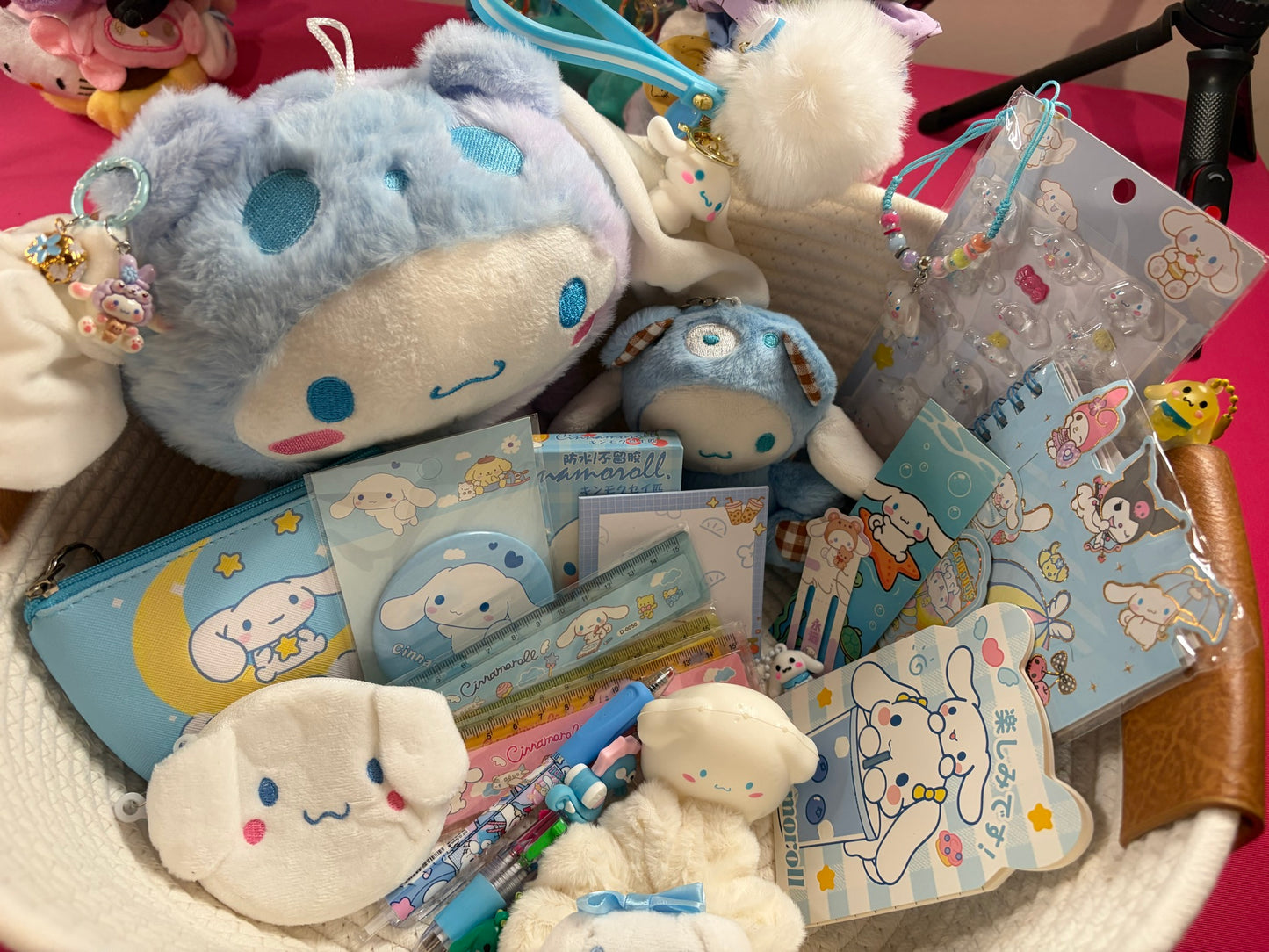 💙 Cinnamoroll Curated Box 💙